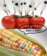 What The Hell Is Wrong About GM Foods?